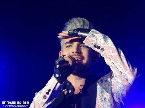 Créditos: Belgian Glamberts
