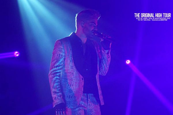 Créditos: Belgian Glamberts
