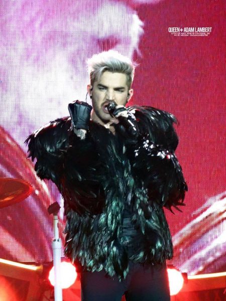 Créditos: Belgian Glamberts
