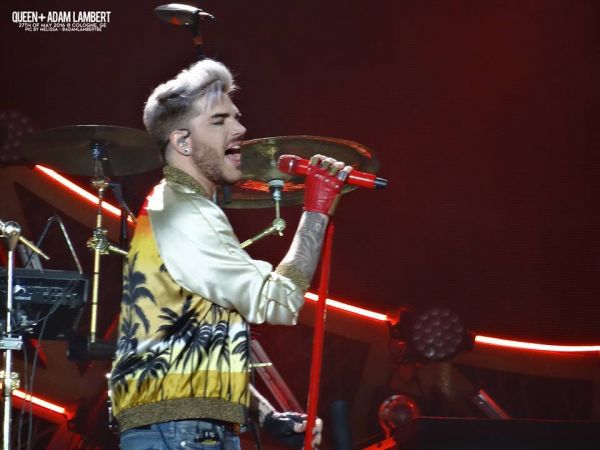 Créditos: Belgian Glamberts
