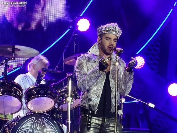 Créditos: Belgian Glamberts
