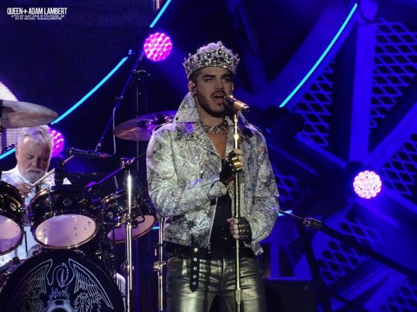 Créditos: Belgian Glamberts
