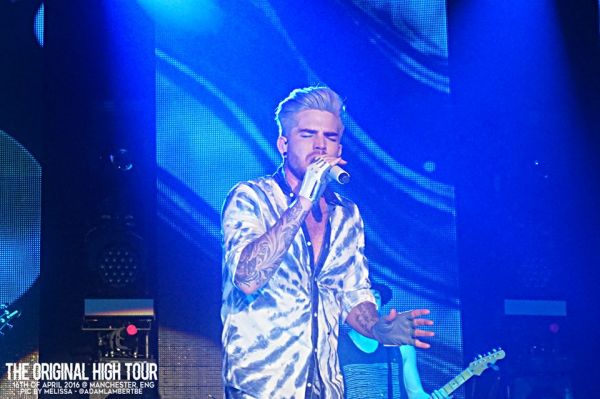 Créditos: Belgian Glamberts
