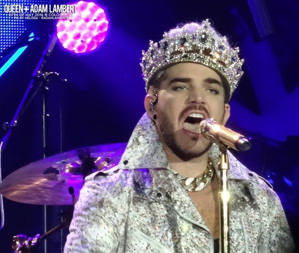 Créditos: Belgian Glamberts
