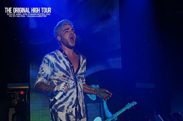 Créditos: Belgian Glamberts
