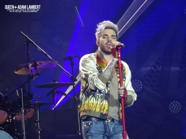 Créditos: Belgian Glamberts
