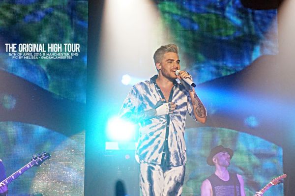 Créditos: Belgian Glamberts
