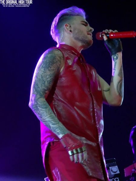 Créditos: Belgian Glamberts
