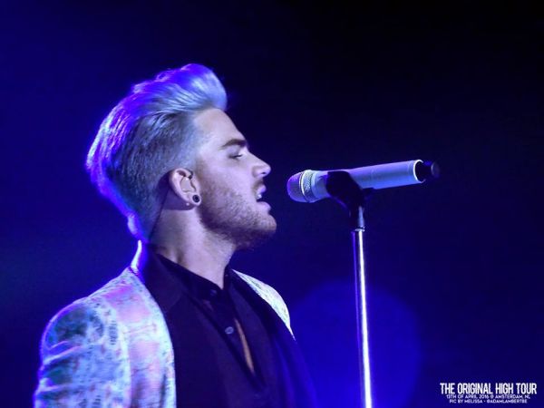 Créditos: Belgian Glamberts
