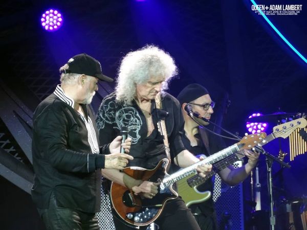 Créditos: Belgian Glamberts
