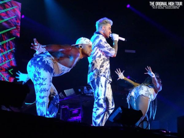 Créditos: Belgian Glamberts
