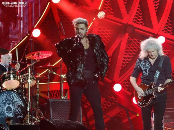 Créditos: Belgian Glamberts
