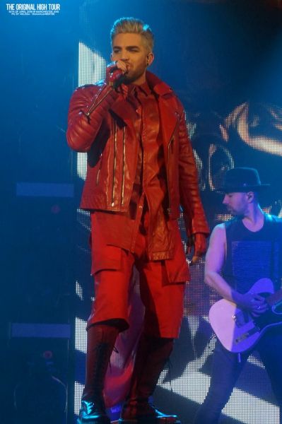 Créditos: Belgian Glamberts
