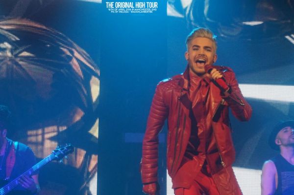 Créditos: Belgian Glamberts
