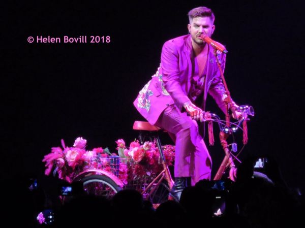 Créditos: @HBovill
