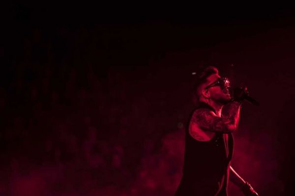 Créditos: Kane Hibberd
