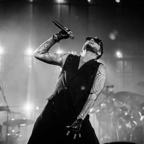 Créditos: Stu McKay Photography
