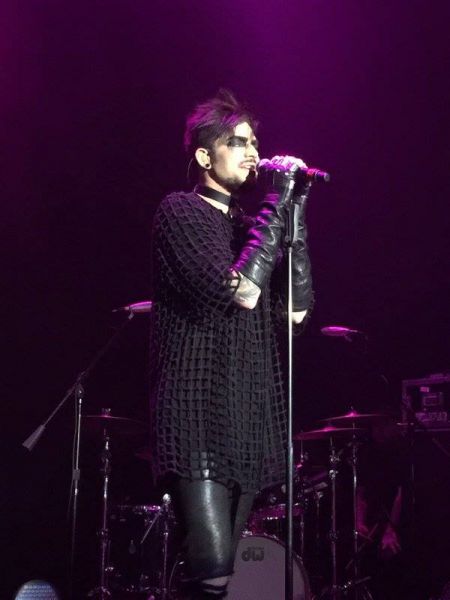 Créditos: @wild4adam
