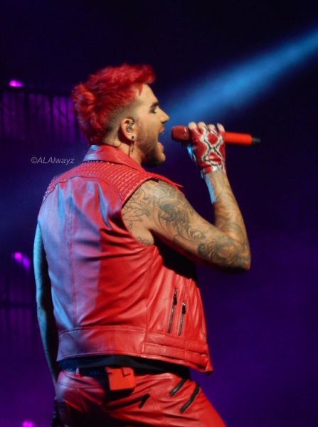Créditos: @ALAlwayz
