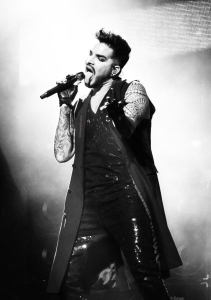 Créditos: @HMSHarry
