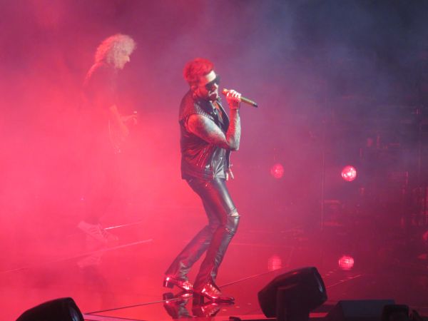 Créditos: @Wild4Adam 
