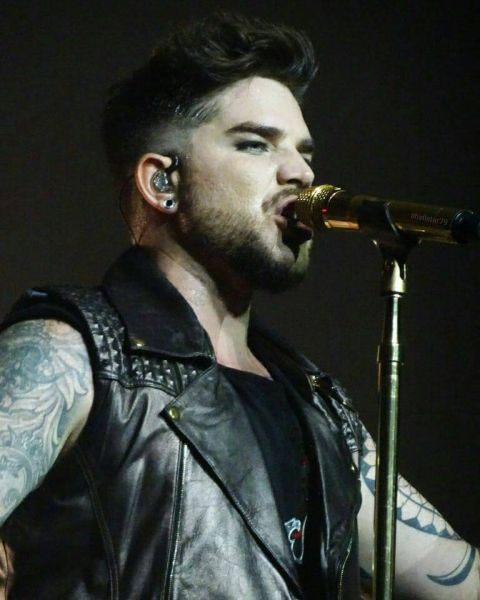 Créditos: @shellstar79
