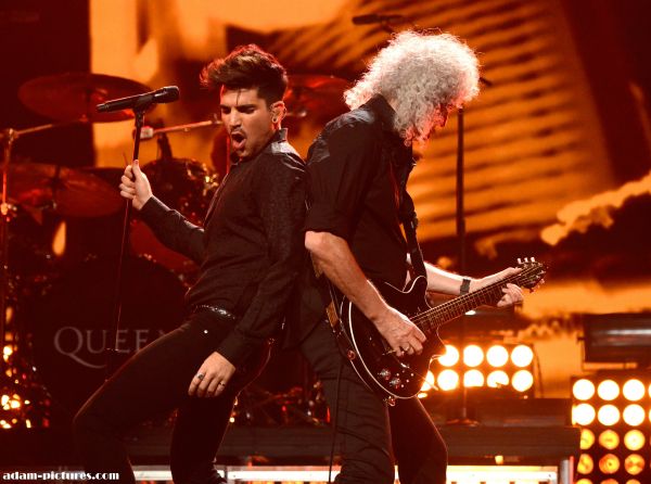 Créditos: adam-pictures.com
