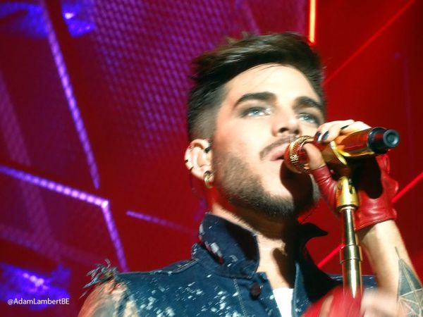 Créditos: Belgian Glamberts

