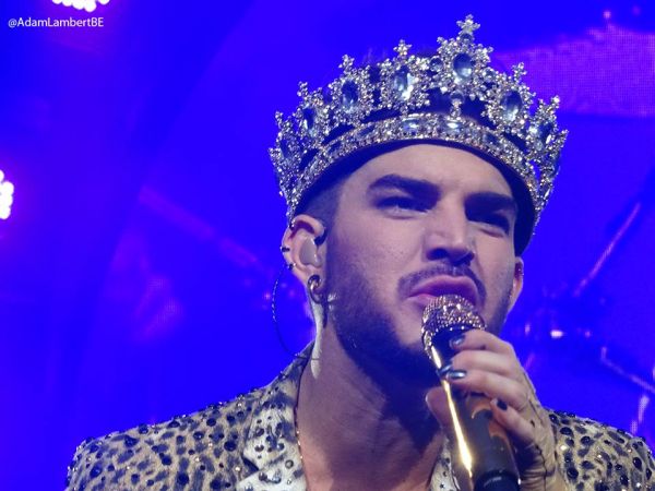 Créditos: Belgian Glamberts
