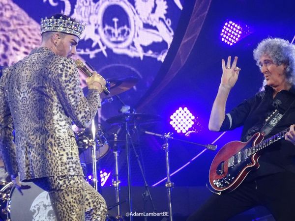Créditos: Belgian Glamberts
