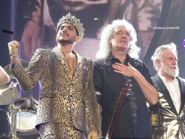 Créditos: Belgian Glamberts
