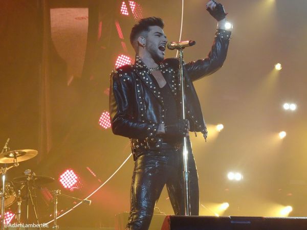 Créditos: Belgian Glamberts
