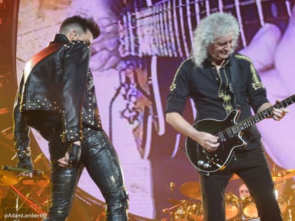 Créditos: Belgian Glamberts

