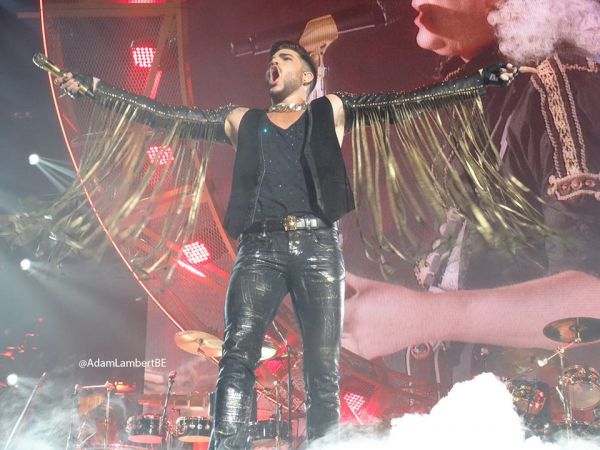 Créditos: Belgian Glamberts
