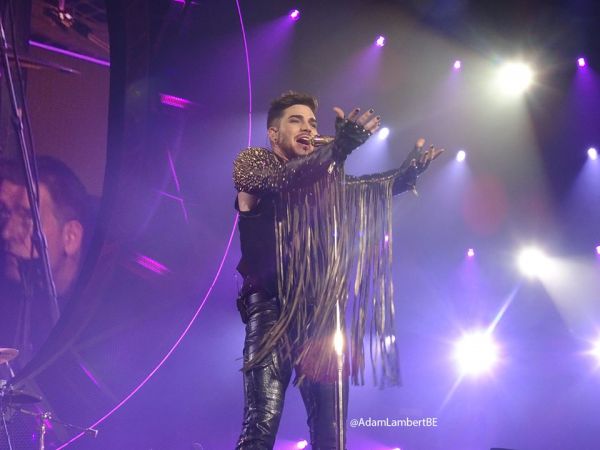 Créditos: Belgian Glamberts
