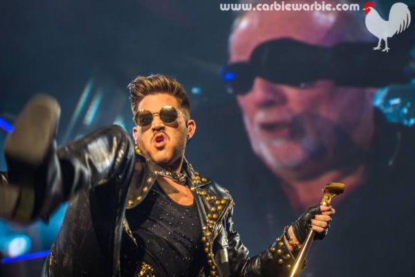 Créditos: Carbie Warbie
