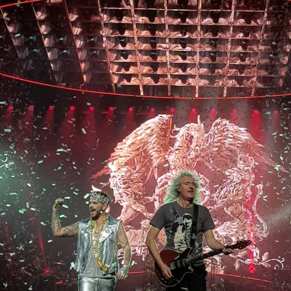 Créditos: @dontletthisend
