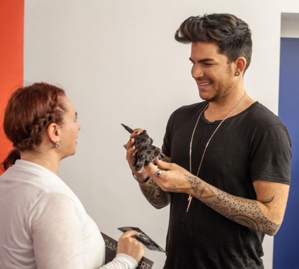 Créditos: Adam Lambert Nation
