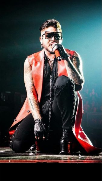 Créditos: @hmsharry
