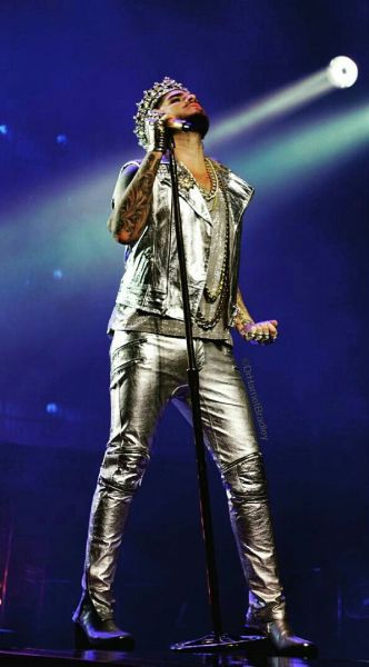 Créditos: @hmsharry
