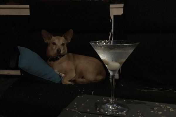 Créditos: @milestougeaux
