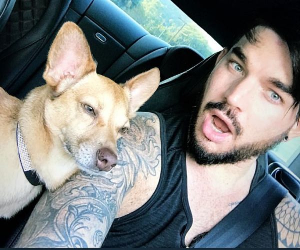 Créditos: Adam Lambert
