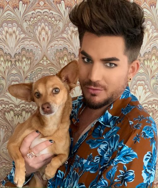 Créditos: Adam Lambert
