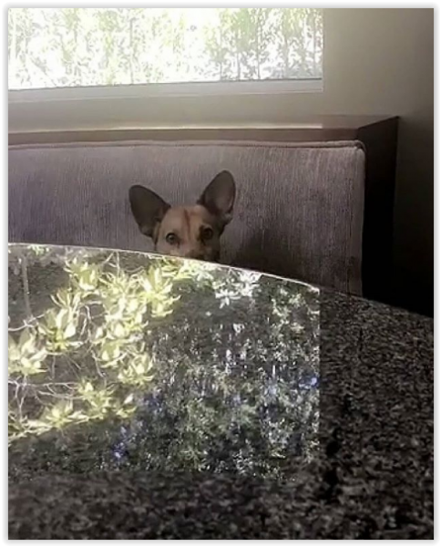 Créditos: @pharaoh_lambert
