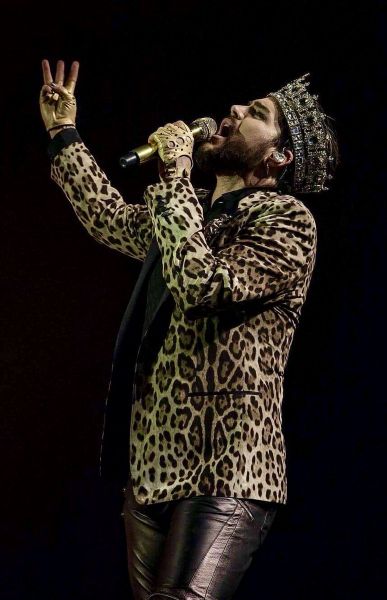 Créditos: @RobGolton
