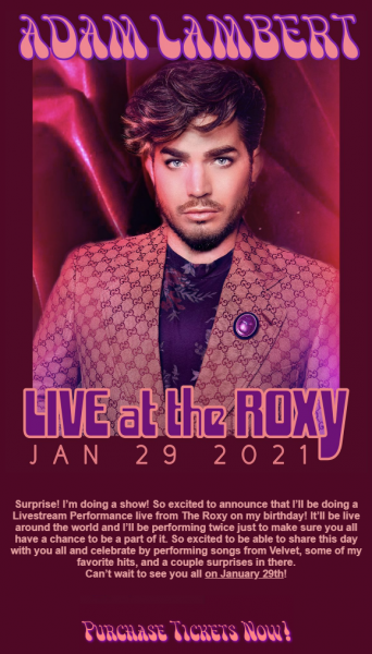 roxy.png