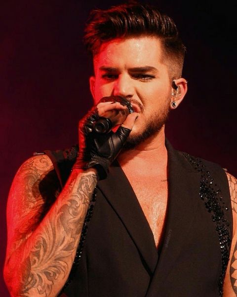 Créditos: @shellstar79
