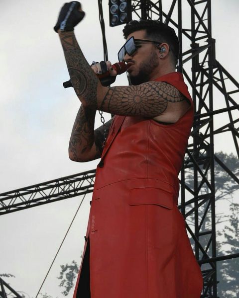 Créditos: @shellstar79
