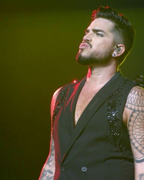 Créditos: @shellstar79
