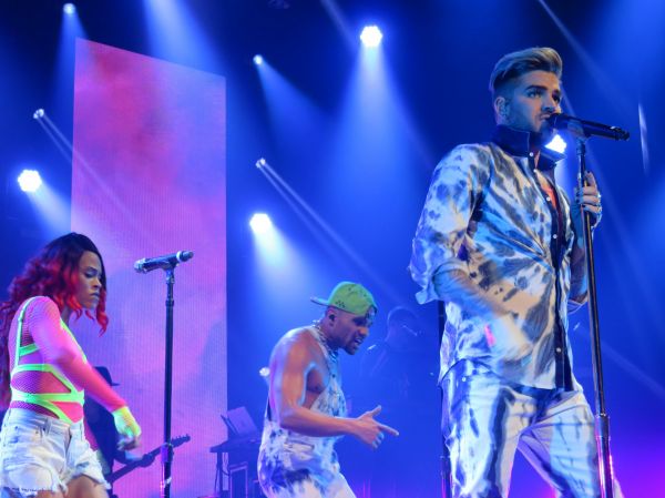 Créditos: Wild4Adam
